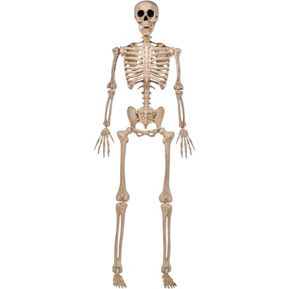 New 5 FT Halloween Skeleton Life Size, Stayable Posable Skeleton Decor, Full
